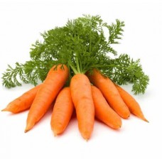 CARROT