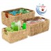 WATER HYACINTH TRAY WITH WOODEN HANDLE