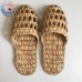 WATER HYACINTH SLIPPER